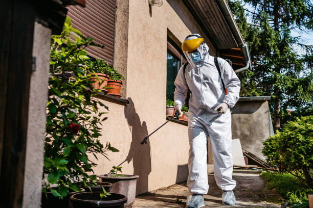 Best Commercial Pest Control Services  in Haleiwa, HI