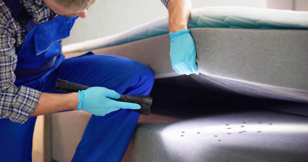 Best Wasp Removal Services  in Haleiwa, HI