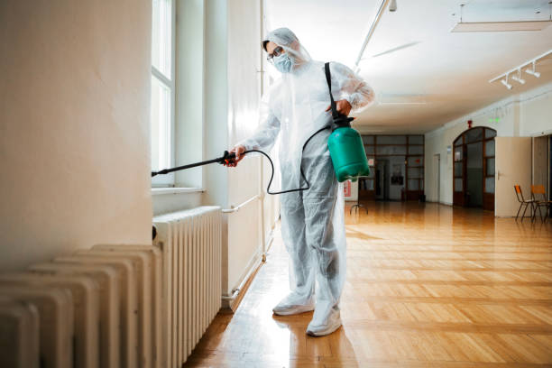 Best Pest Prevention Services  in Haleiwa, HI
